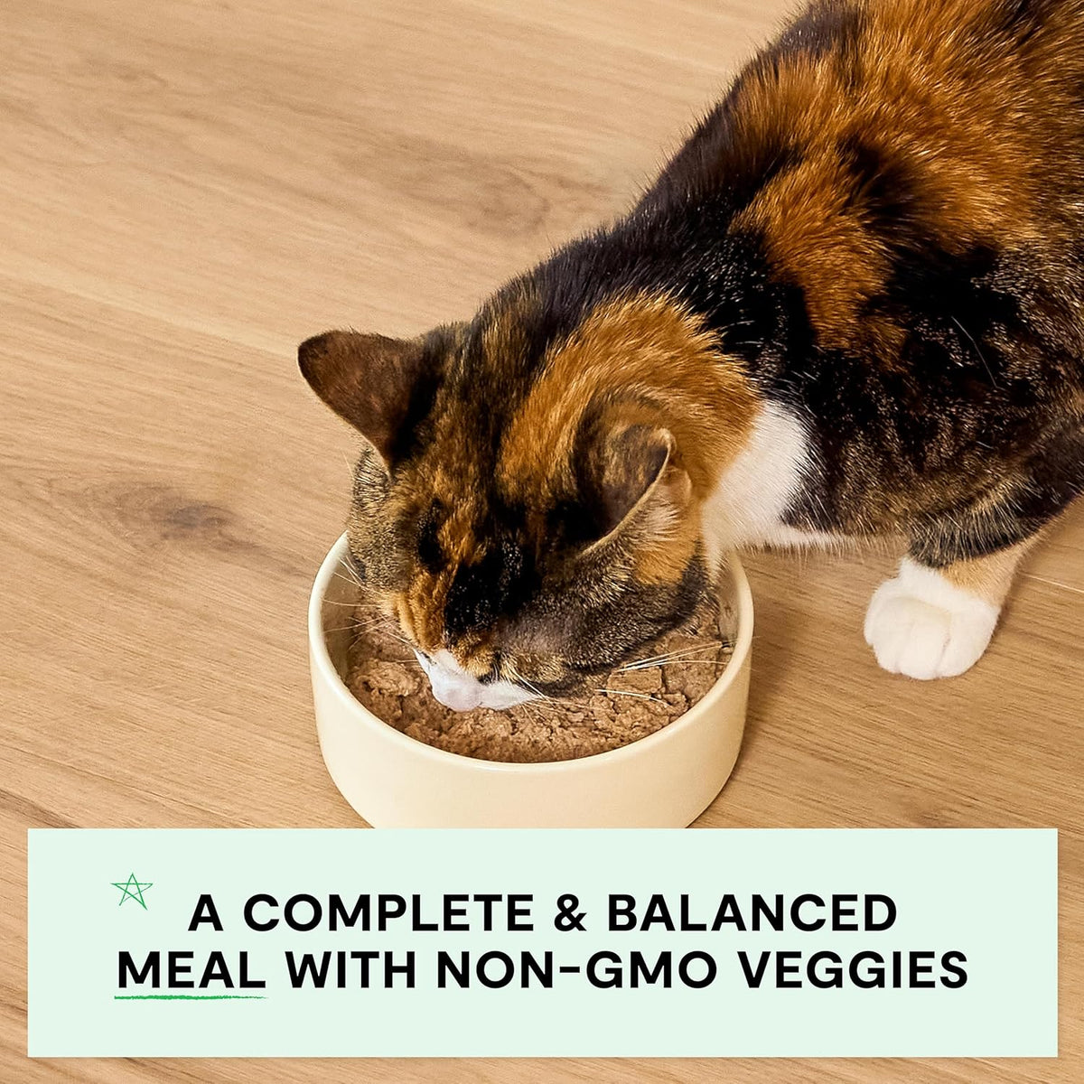 Open Farm Canned Kitten Food, Paté for Complete & Balanced Nutrition, Grain-Free and Legume-Free