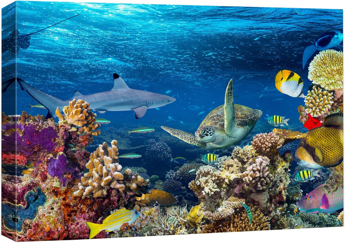 wall26 Canvas Print Wall Art Tropical Island Underwater Turtle Shark Nature Animals Photography