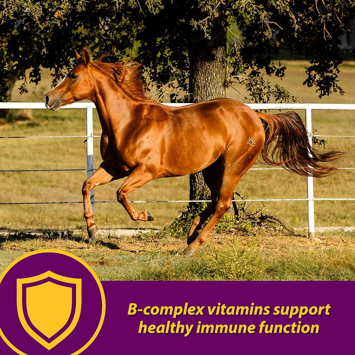 Farnam Horse Health Red Cell Pellets, Vitamin-Iron-Mineral Supplement for Horses, Helps Fill
