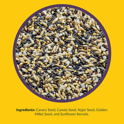Lyric Finch - Small Songbird Wild Bird Seed - Attracts Goldfinches, House Finches, Purple Finches &