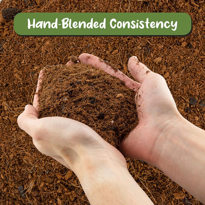 Terrarium Potting Soil Mix (8 Quarts), w/Blended Filtering Charcoal Custom Made for Terrariums