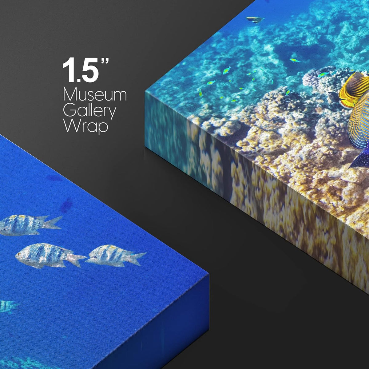 wall26 Canvas Print Wall Art Underwater Neon Blue Teal Ocean Water Fish Nature Animals Photography