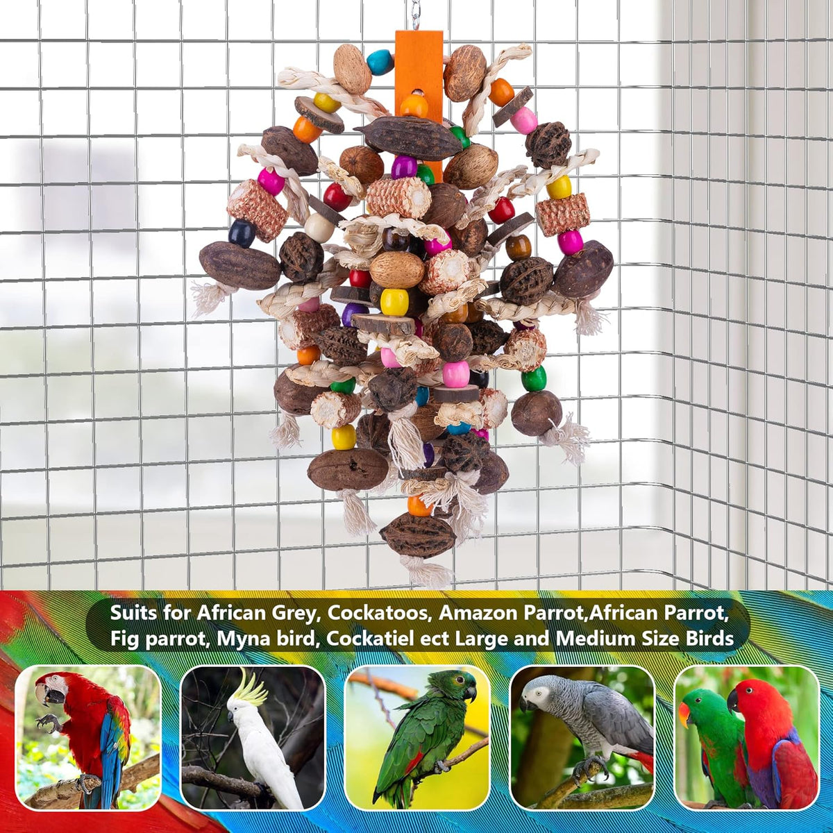 Deloky Large Parrot Bird Chewing Toys, Natural Nuts Corn Parrot Tearing Toy, Wooden Bird Cage Toy