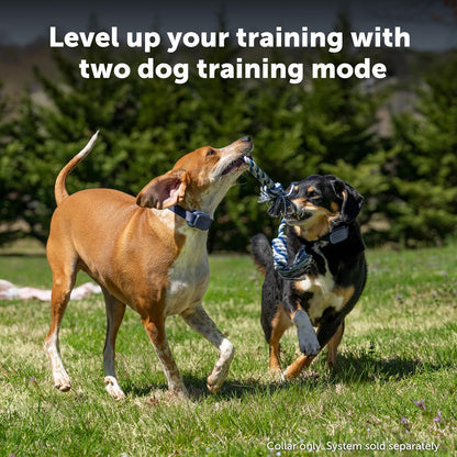 PetSafe Core Remote Trainer Add-A-Dog Collar – Extra Collar for Dog Training Collar with Remote