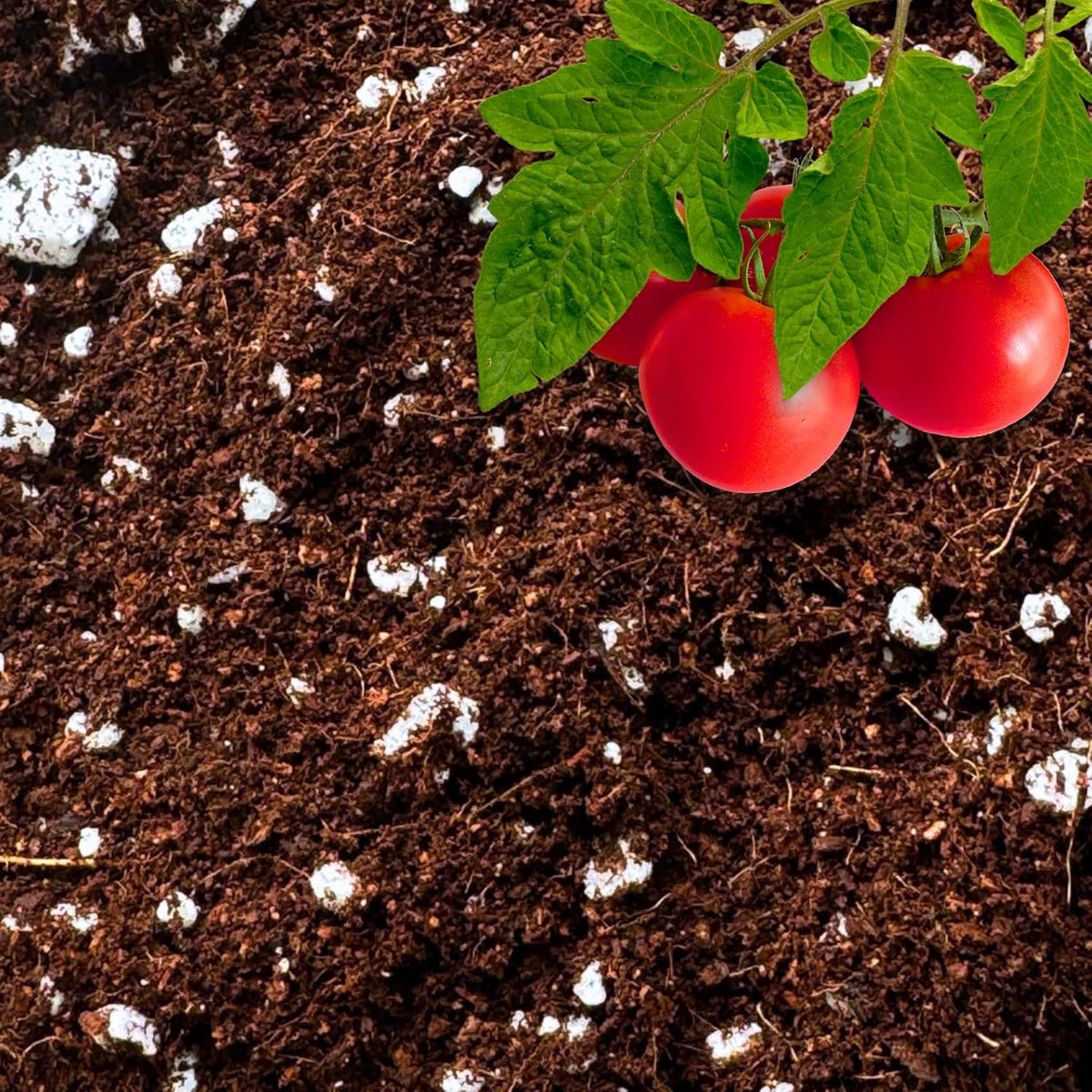 Coco Perlite - Coco Coir Perlite Mix - 70/30 Growing Media - Hydroponic, Indoor & Outdoor, Grow