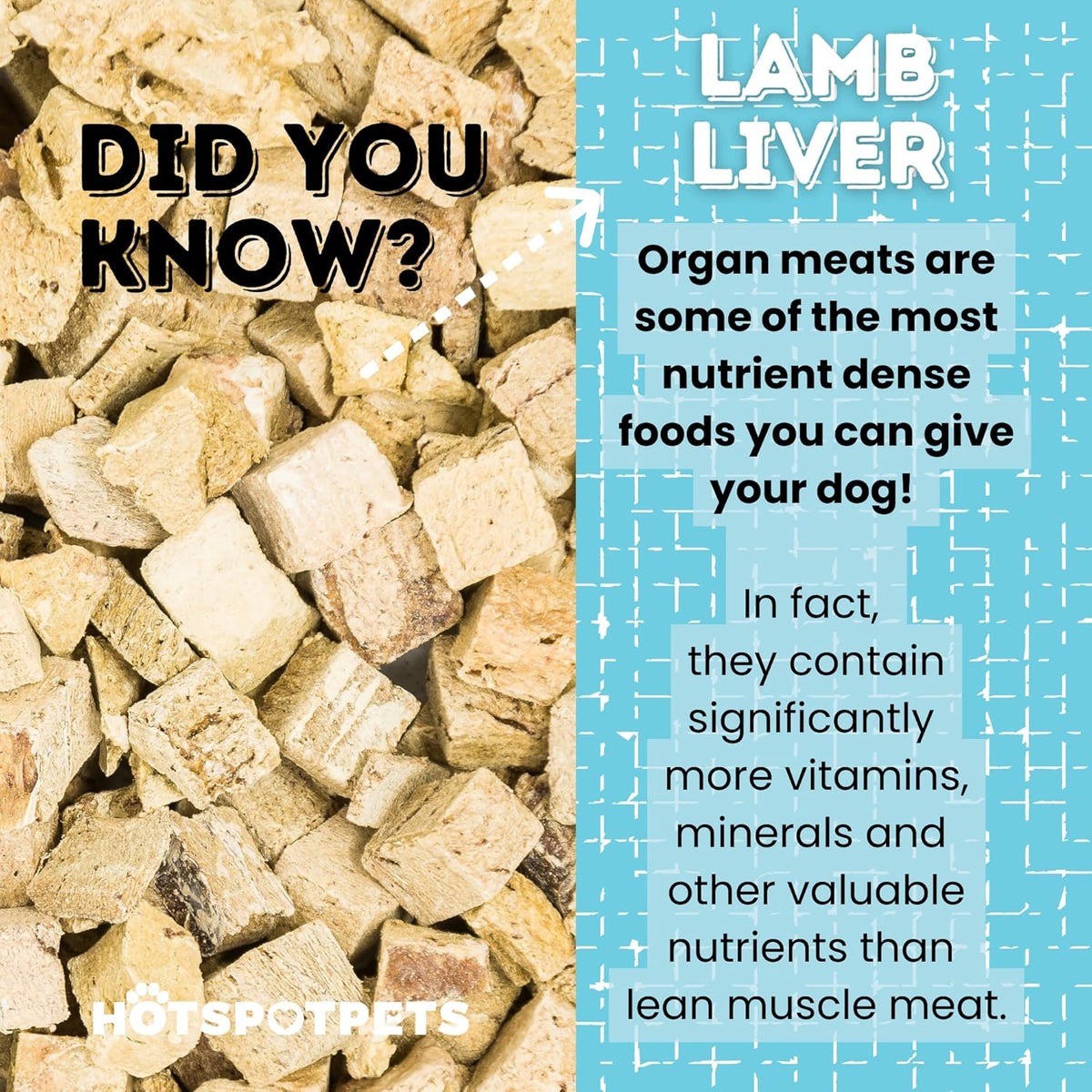 hotspot pets Lamb Liver Treats, 1LB Bag, All Natural Grain-Free Cat & Dog Training Topper Snack