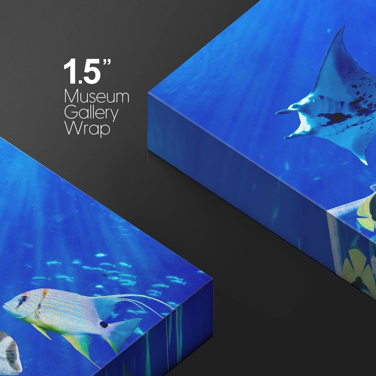 wall26 Canvas Print Wall Art Vibrant Sunlight Ray Ocean Shark Fish Reef Nature Animals Photography