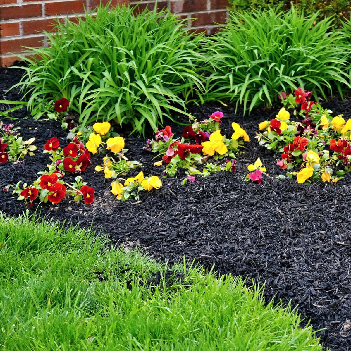 Premium Black Wood Mulch for Landscaping, Gardens, Lawns, Potting Media, and Potted Plants (0.5 CF