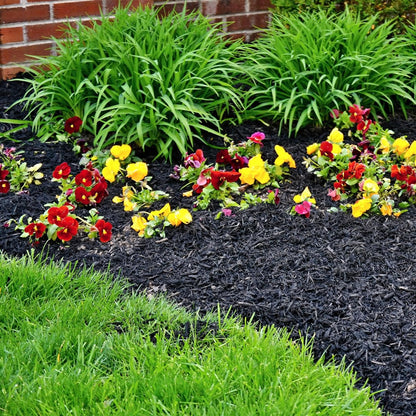 Premium Black Wood Mulch for Landscaping, Gardens, Lawns, Potting Media, and Potted Plants (0.3 CF
