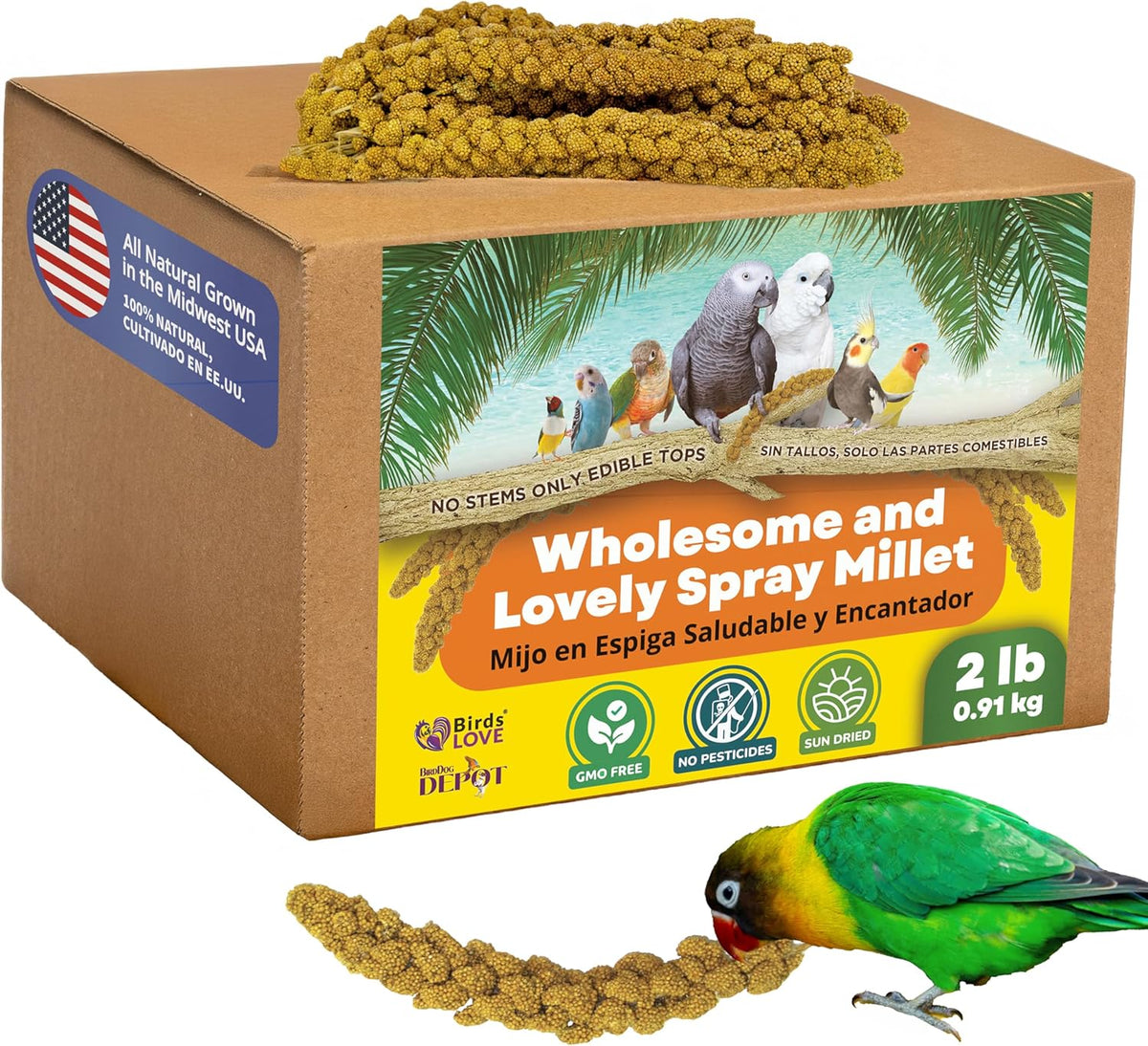 Birds LOVE Wholesome & Lovely Spray Millet Non-GMO for Birds Cockatiel Lovebird Parakeet Finch