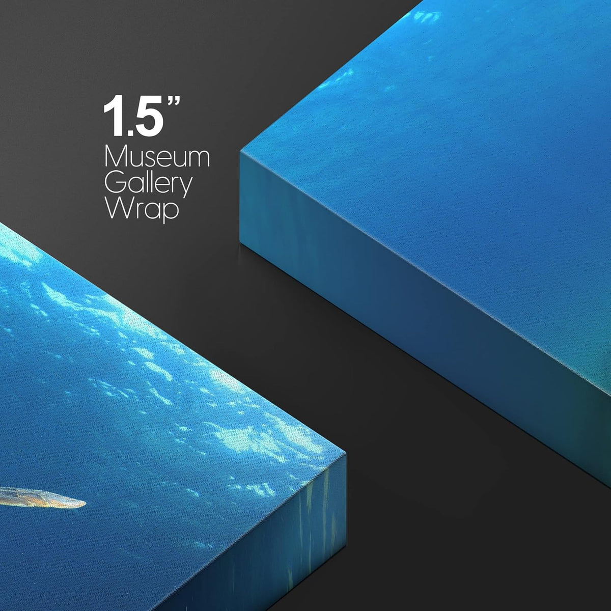 wall26 Canvas Print Wall Art Sea Turtle Gliding Through Sea Nature Ocean Photography Realism