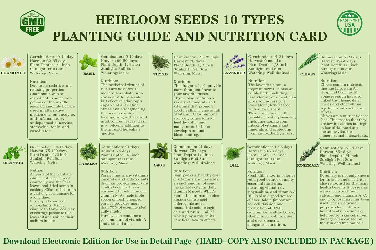 10 Herb Seeds Garden Starter Grow Kit with Green Pots, Markers, Nutritional Soil, Watering, Herb