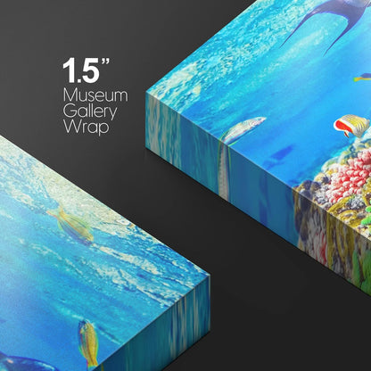 wall26 Canvas Print Wall Art Sunlight Ocean Sea Coral Reef Anemone Fish Nature Animals Photography