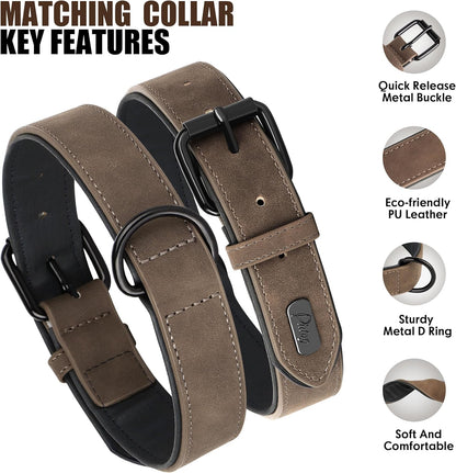 Didog Soft Padded Leather Dog Collar and Leash Set, Adjustable Dog Leash and Collar Set with Metal