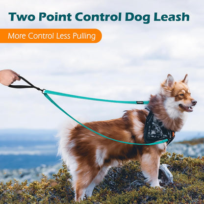 PetBonus Two Point Control Dog Leash, Works with No Pull Harnesses, No Tangle Dog Training Leashes