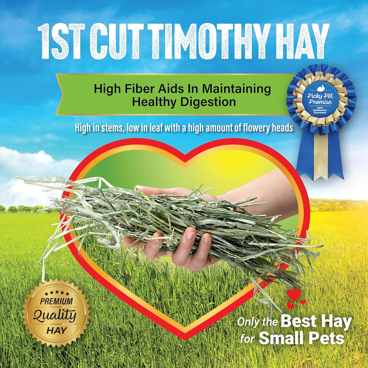 Small Pet Select 1st Cut Timothy Hay Pet Food for Rabbits, Guinea Pigs, and Other Small Animals