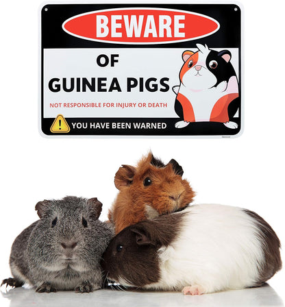 Venicor Guinea Pig Sign Decor - 8 x 12 Inches - Aluminum - Guinea Pig Gifts for Guinea Pig Lovers