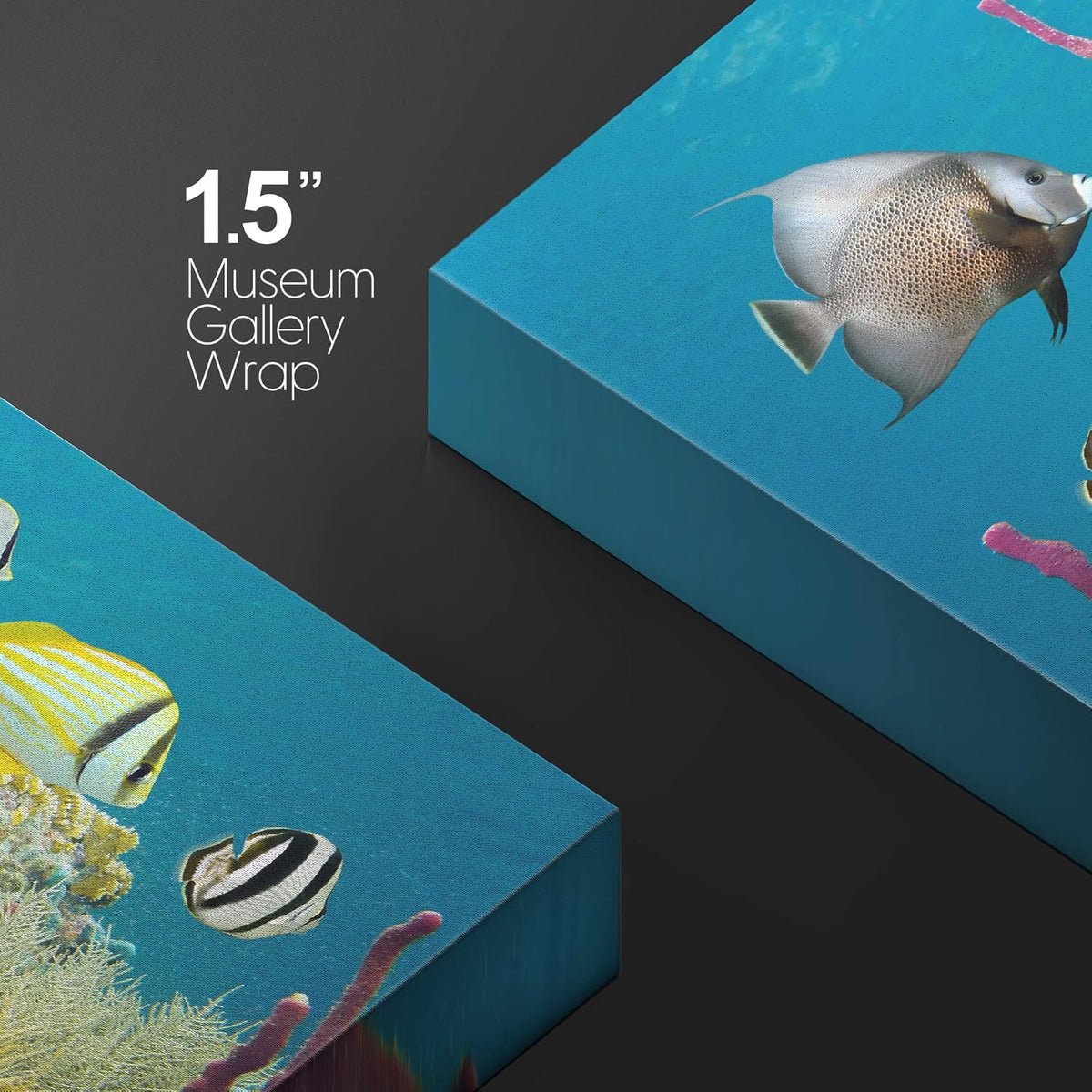 wall26 Canvas Print Wall Art Deep Sea Marine Fish with Coral Reef Nature Ocean Photography Realism