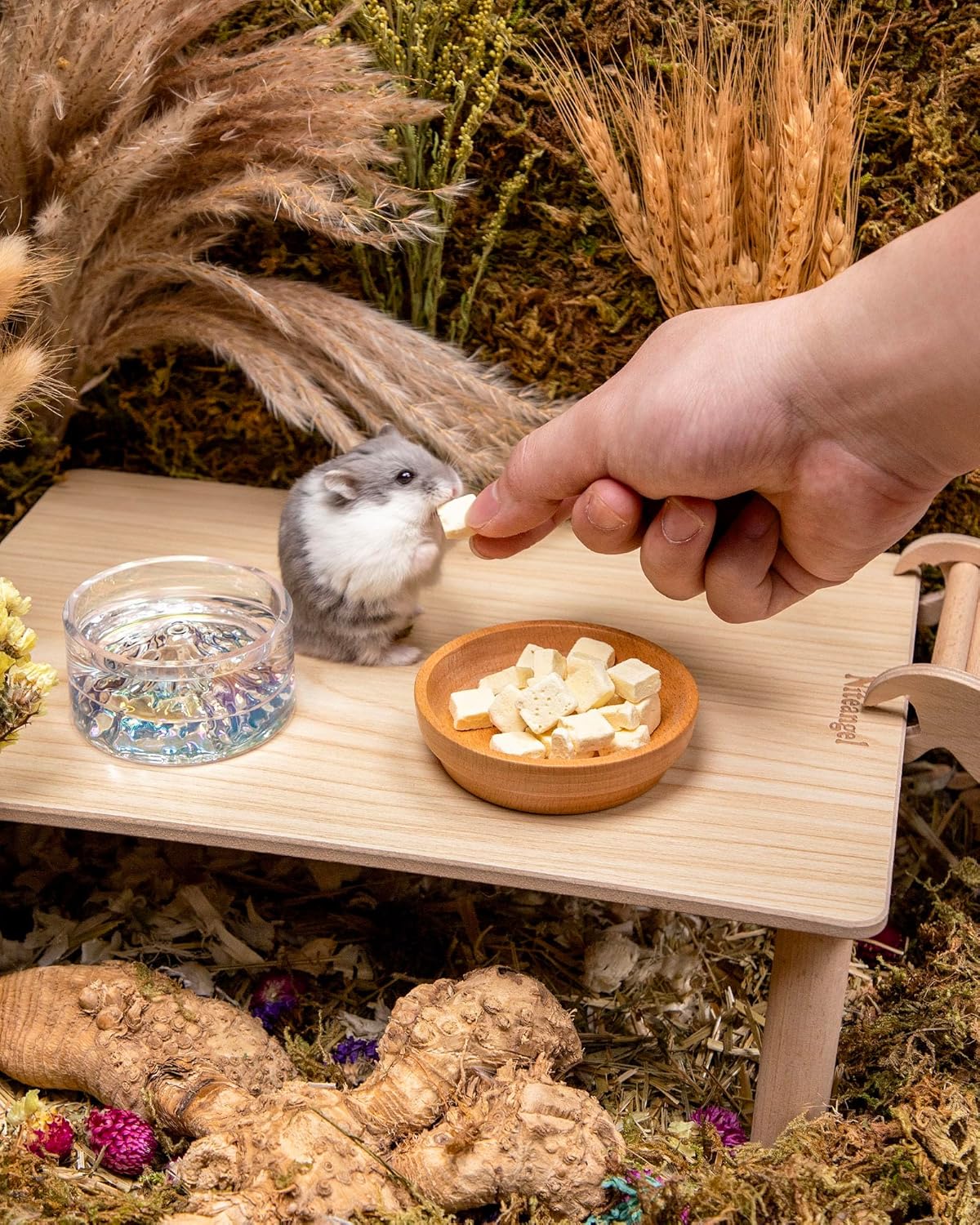 Niteangel Hamster Snack & Treats Toy - Small Animal Natural Treat for Dwarf Syrian Robo Hamsters