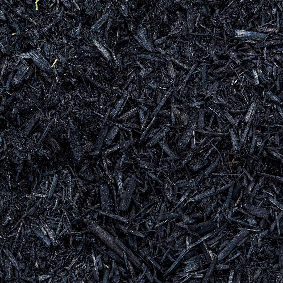 Premium Black Wood Mulch for Landscaping, Gardens, Lawns, Potting Media, and Potted Plants (0.3 CF