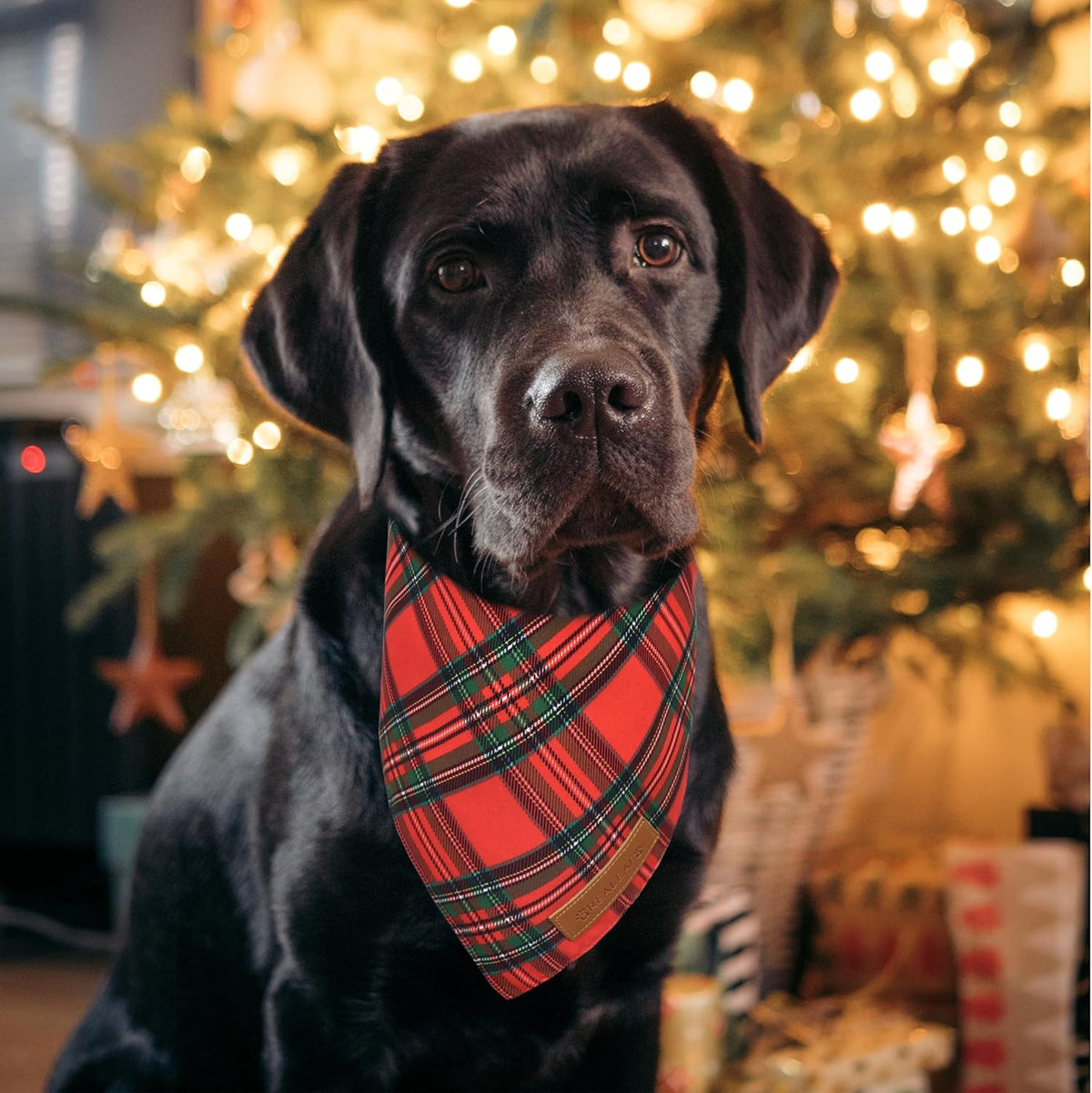 Realeaf Christmas Dog Bandanas 2 Pack, Reversible Red Green Plaid Dog Scarf, Xmas Pet Bandana for