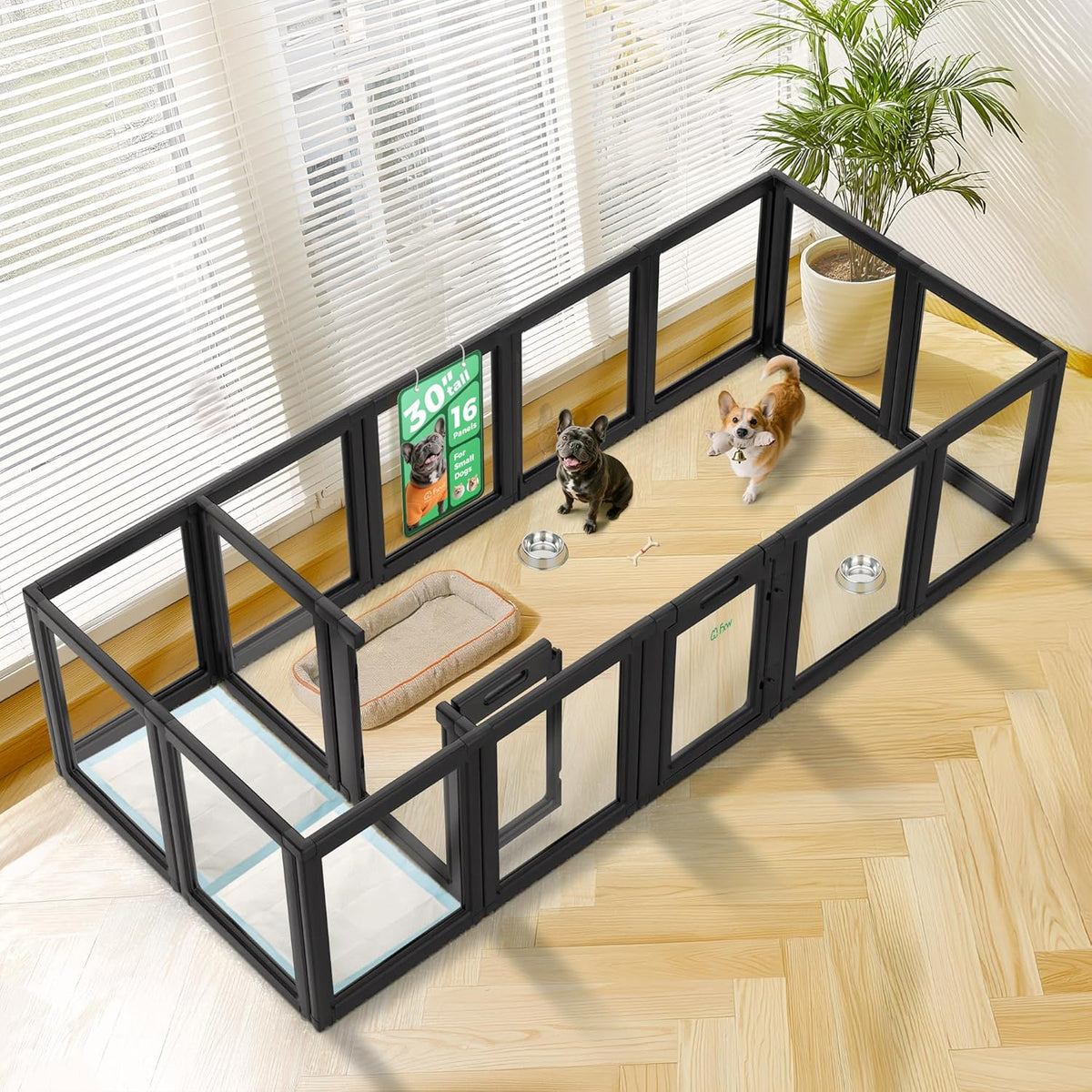 FXW AuraSpace Acrylic Indoor Unleashed Dog Playpen for Small and Medium Dogs, 30 Inch, 16 Panels