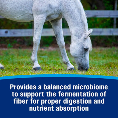 Farnam Hindgut Stabilizer Pellets, Daily Digestive & Immune Supplement for Horses Helps Maintain a