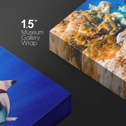 wall26 Canvas Print Wall Art Shark Fish Multicolor Coral Reef Ocean Sea Nature Animals Photography