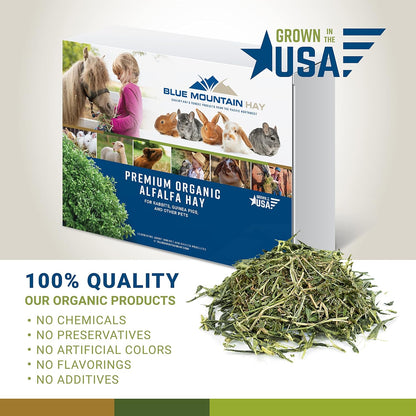 Blue Mountain Hay High-Altitude Hay - Organic Alfalfa, 5lb - High Protein, Fiber & Mineral-Rich
