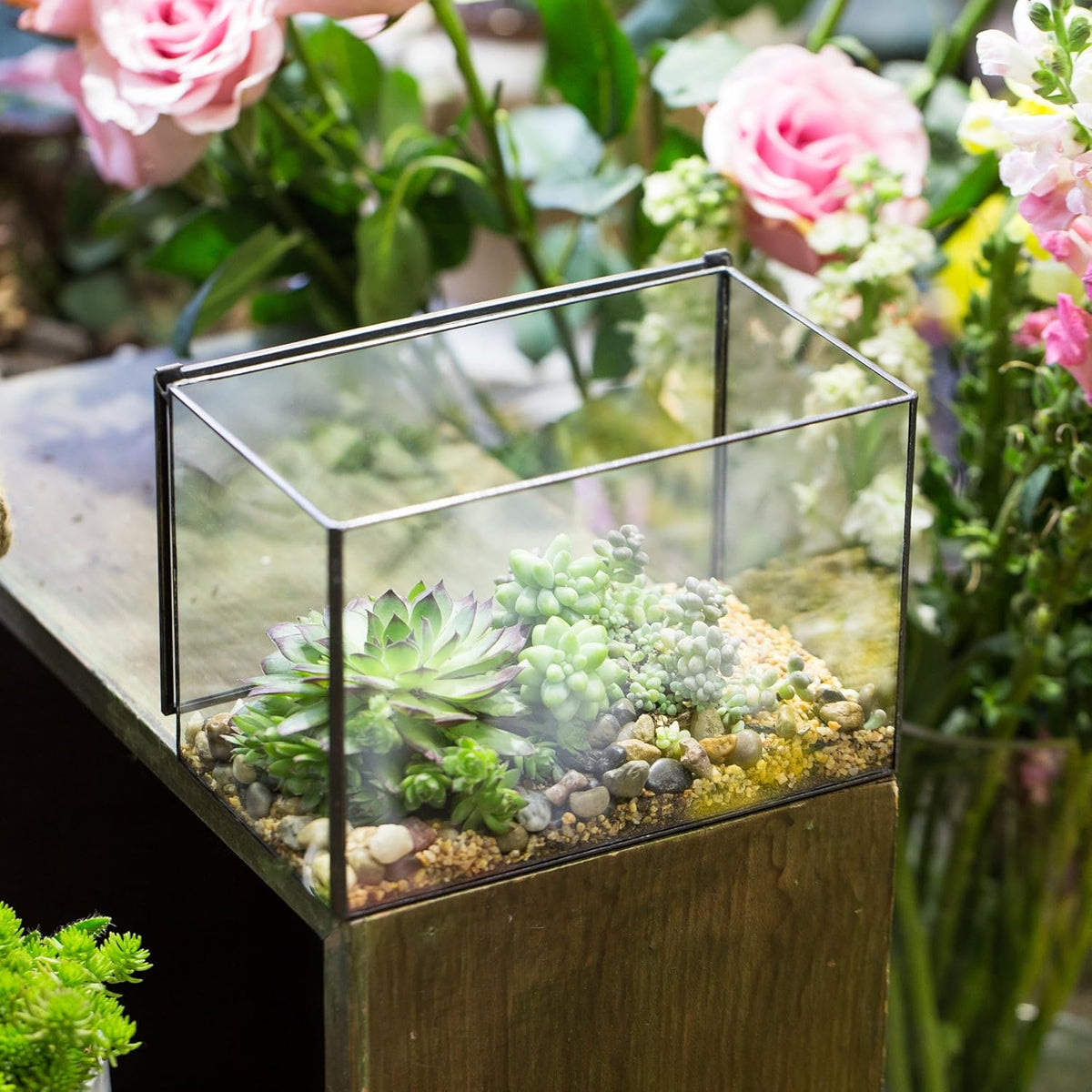 NCYP Small Rectangle Glass Terrarium Planter with Lid, 6.7 x 4 x 4.8 Inches Clear Black Geometric