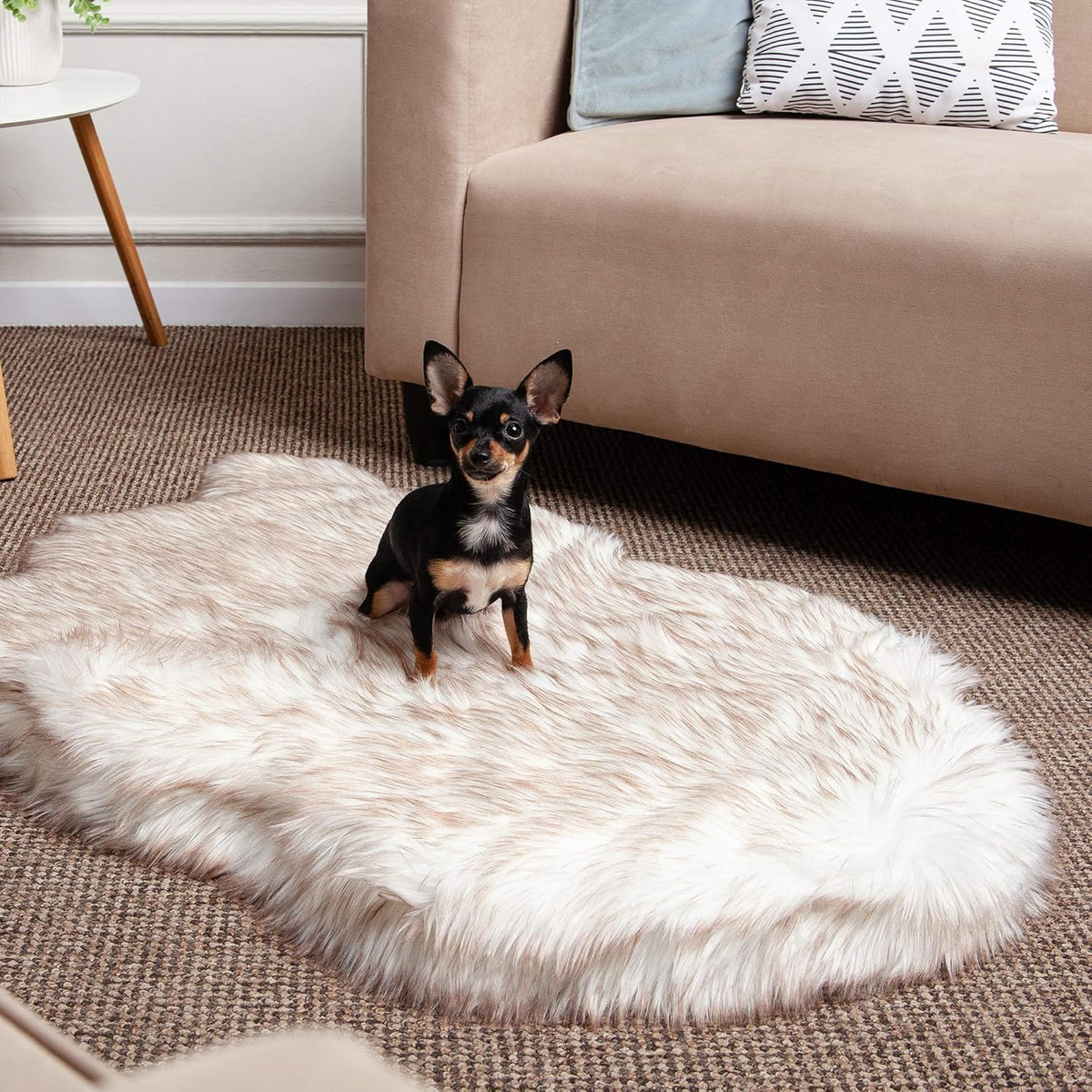 IHAPPYDOG Luxury Faux Fur Orthopedic Dog Bed, Memory Foam Dog Bed for Small, Medium, Large and XL