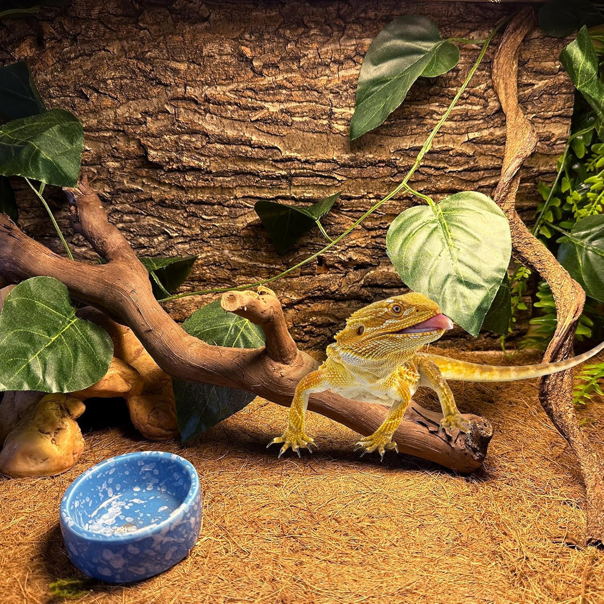BNOSDM 2PCS Reptile Wood Branches, Snake Climbing Branch, Bearded Dragon Climbing Accessories