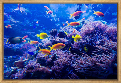 wall26 Framed Canvas Print Wall Art Purple Blue Vibrant Anemone Coral Reef Fish Nature Animals