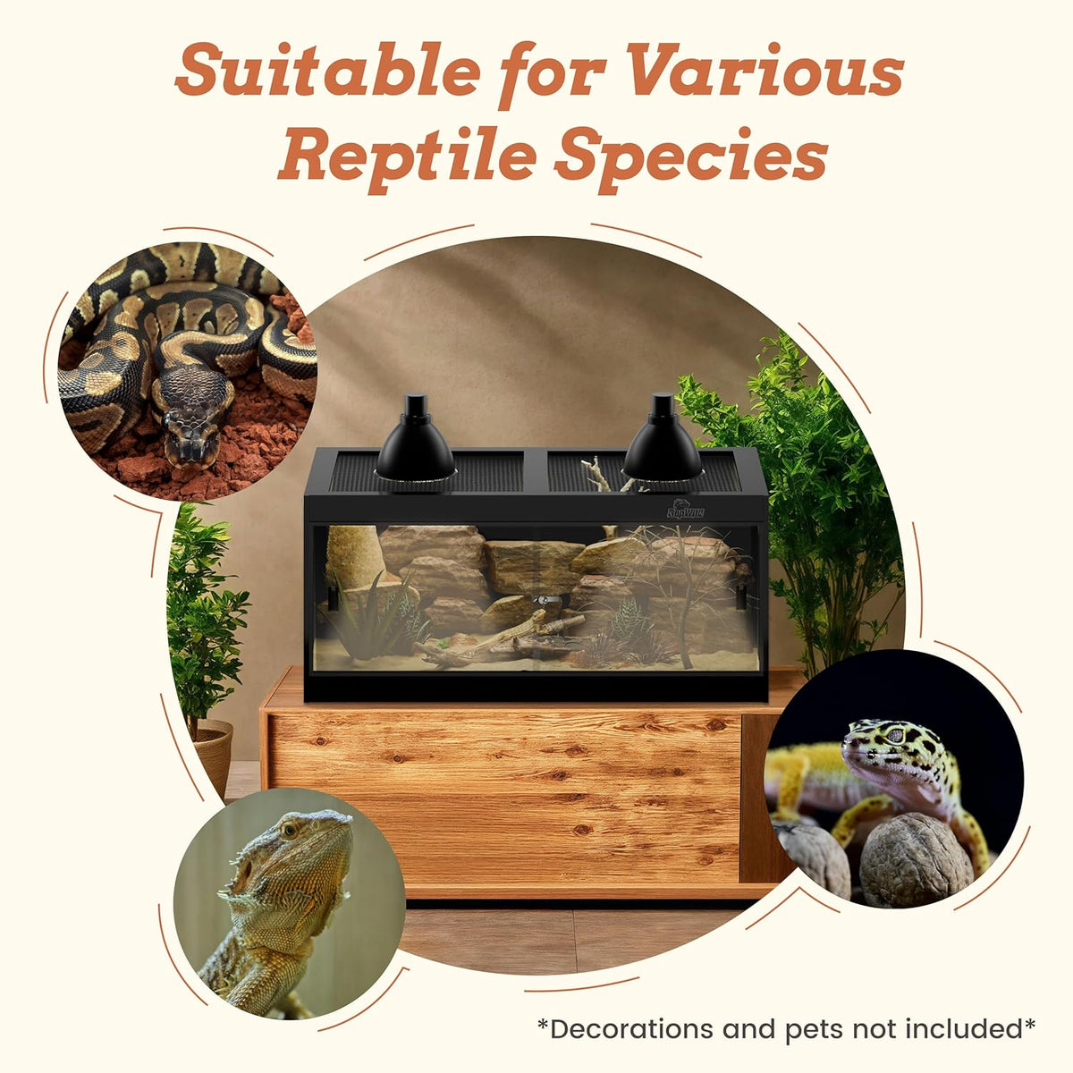4x2x2 (120 Gallon) PVC Reptile Enclosure, RepWild Terrarium/Tank with Heavy-Duty Screen Top, Glass
