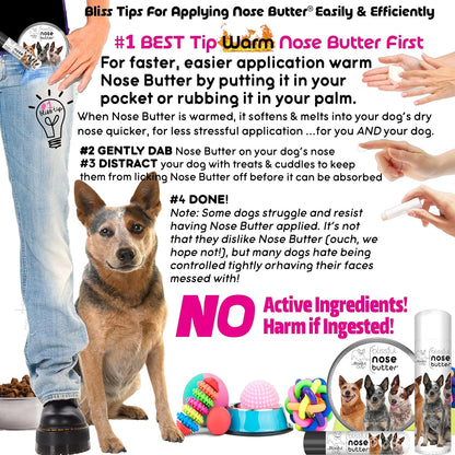 The Blissful Dog Australian Cattle Dog Unscented Nose Butter - Dog Nose Butter, 2 Ounce