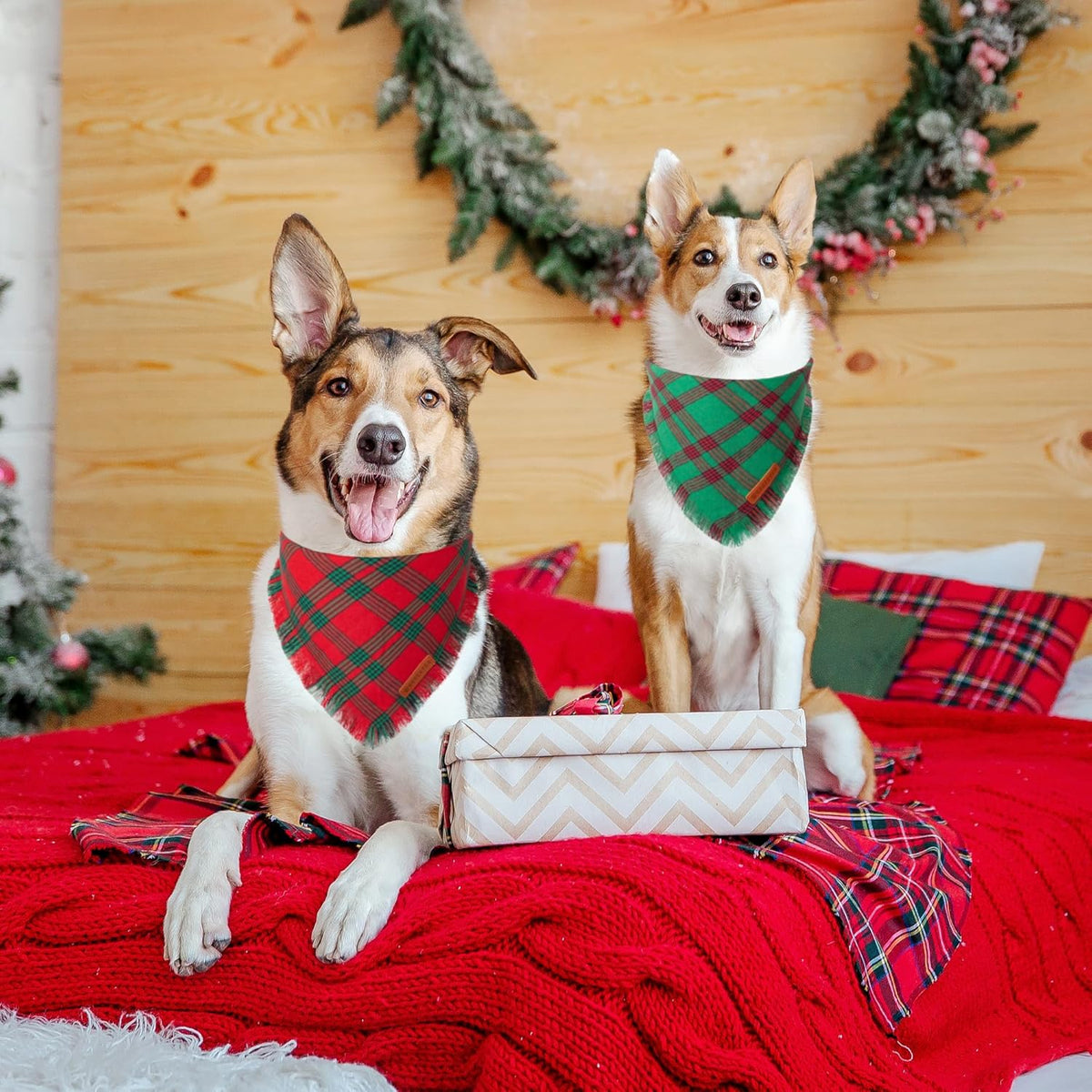 ADOGGYGO Christmas Dog Bandanas with Tassels, Red Green Plaid Pet Xmas Scarf Bib, Multiple Sizes