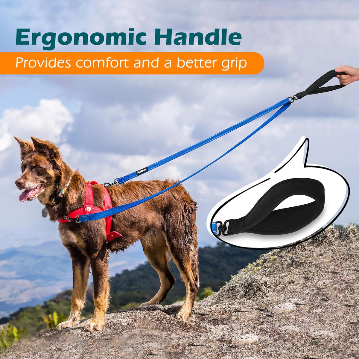 PetBonus Two Point Control Dog Leash, Works with No Pull Harnesses, No Tangle Dog Training Leashes