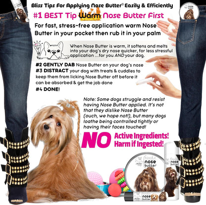The Blissful Dog Havanese Unscented Nose Butter - Dog Nose Butter, 16 Ounce