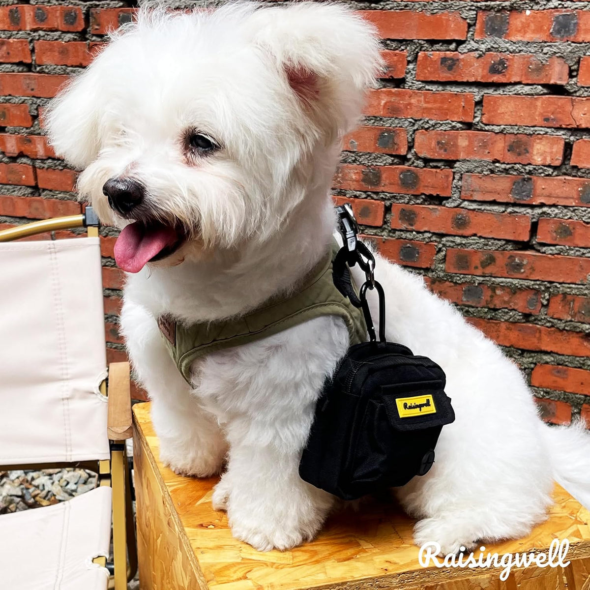 Dog Treat Pouch for Pet Walking and Training with Clicker, Poop Bags, and Three Bags Design Small