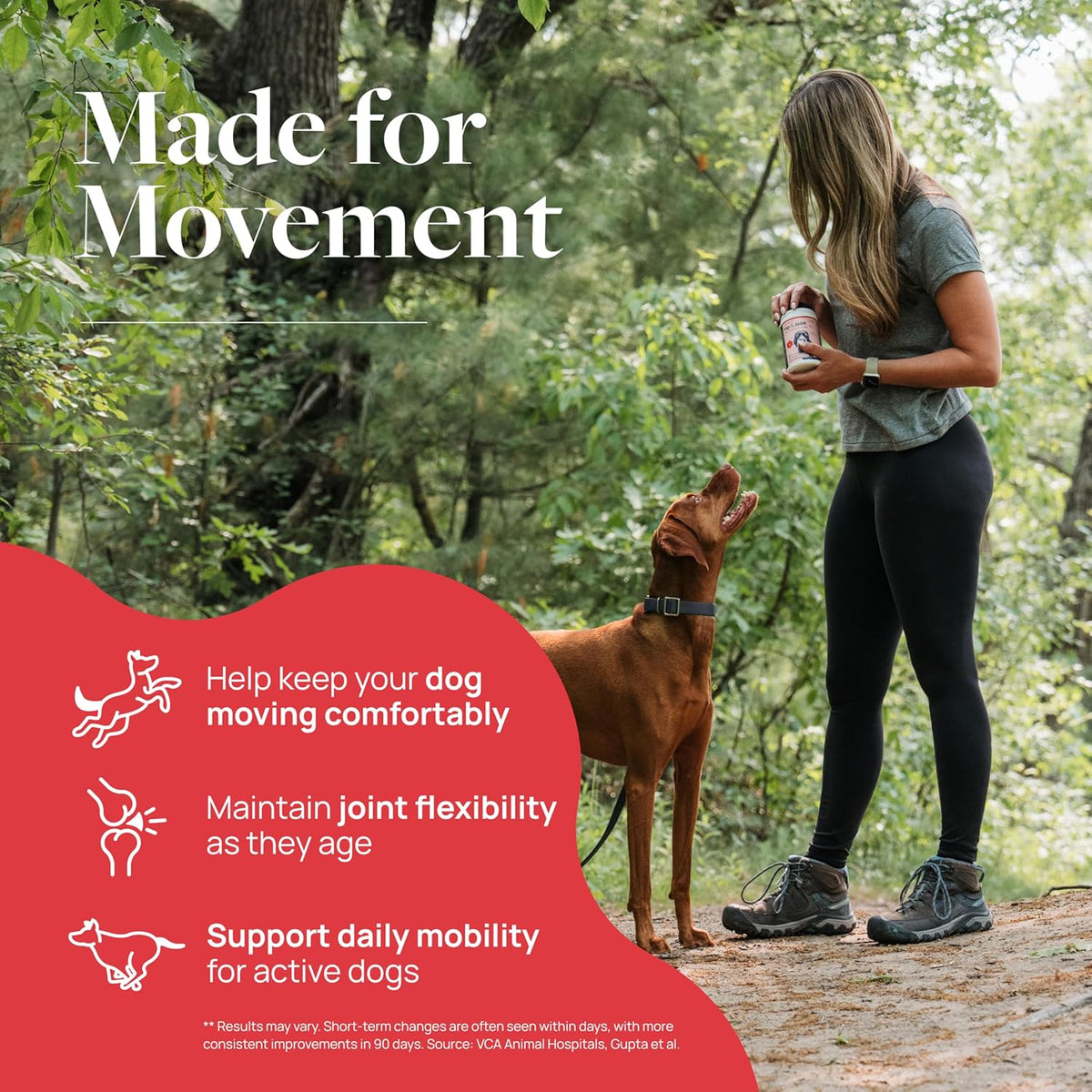 Veterinary Formula Smart Vitality Hip & Joint Supplement for Dogs with Glucosamine – Dog Joint