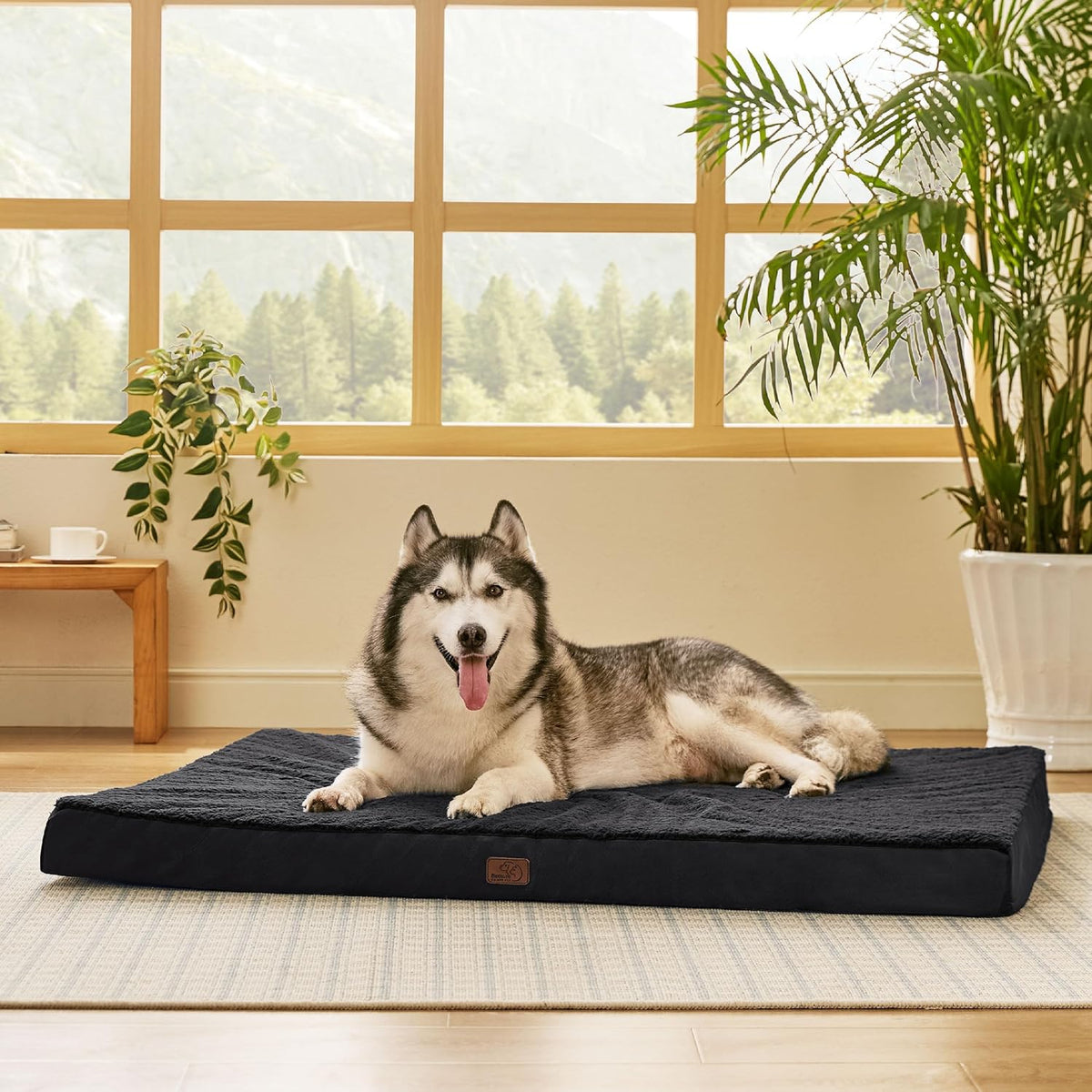 Bedsure XXL Dog Bed for Large Dogs - Orthopedic Flat Giant Pet Beds with Removable Washable Cover
