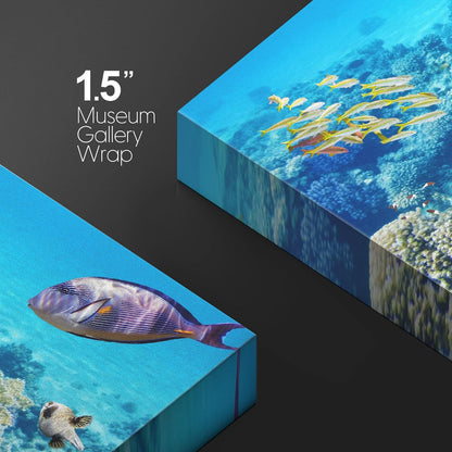 wall26 Canvas Print Wall Art Tropical Underwater Ocean Sea Fish Reef Nature Animals Photography