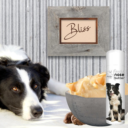 The Blissful Dog Border Collie Nose Butter for Dry, Cracked Skin, Lick-Safe Dog Nose Balm with