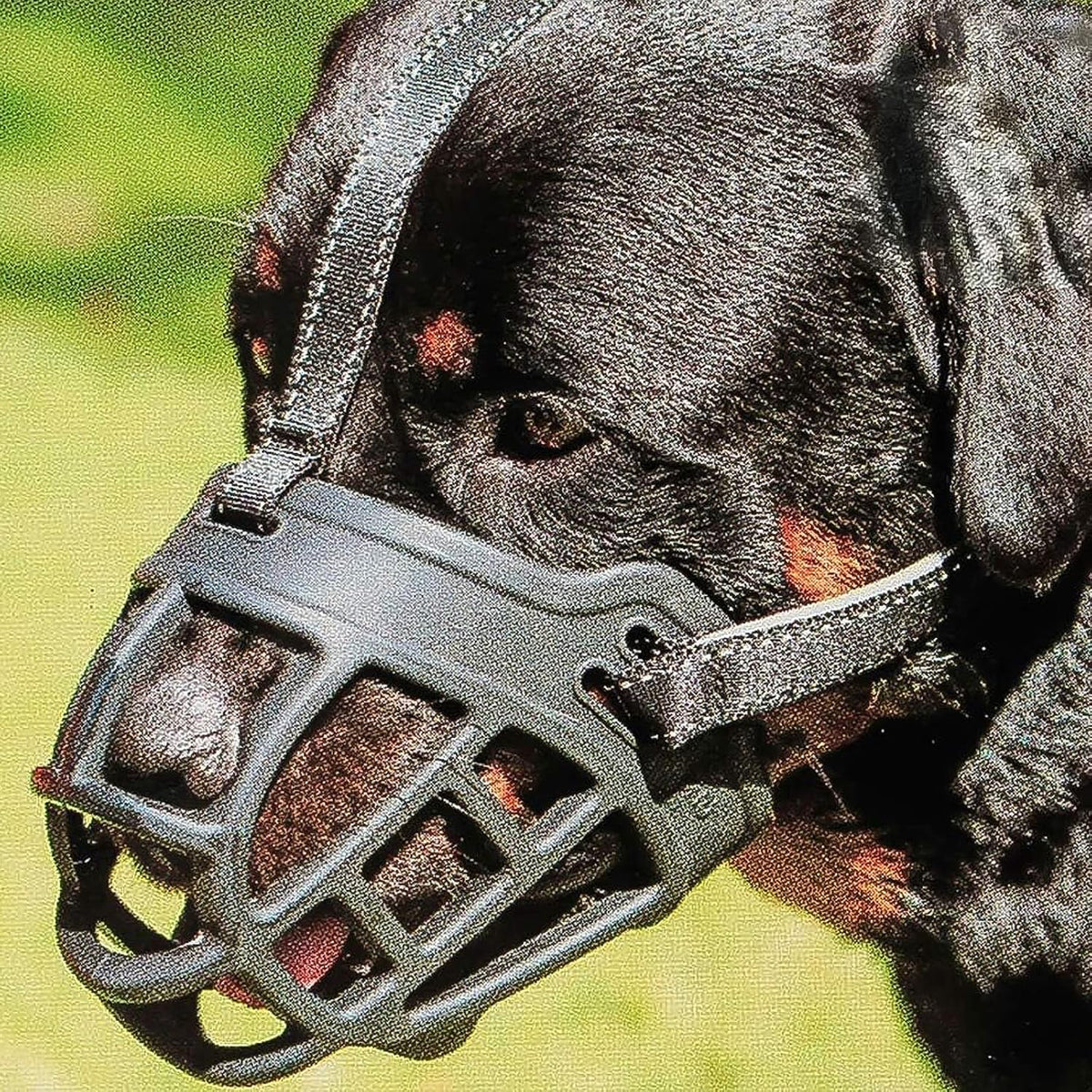 BARKLESS Dog Muzzle, Soft Basket Silicone Muzzle for Dogs to Prevent Biting and Chewing, Breathable