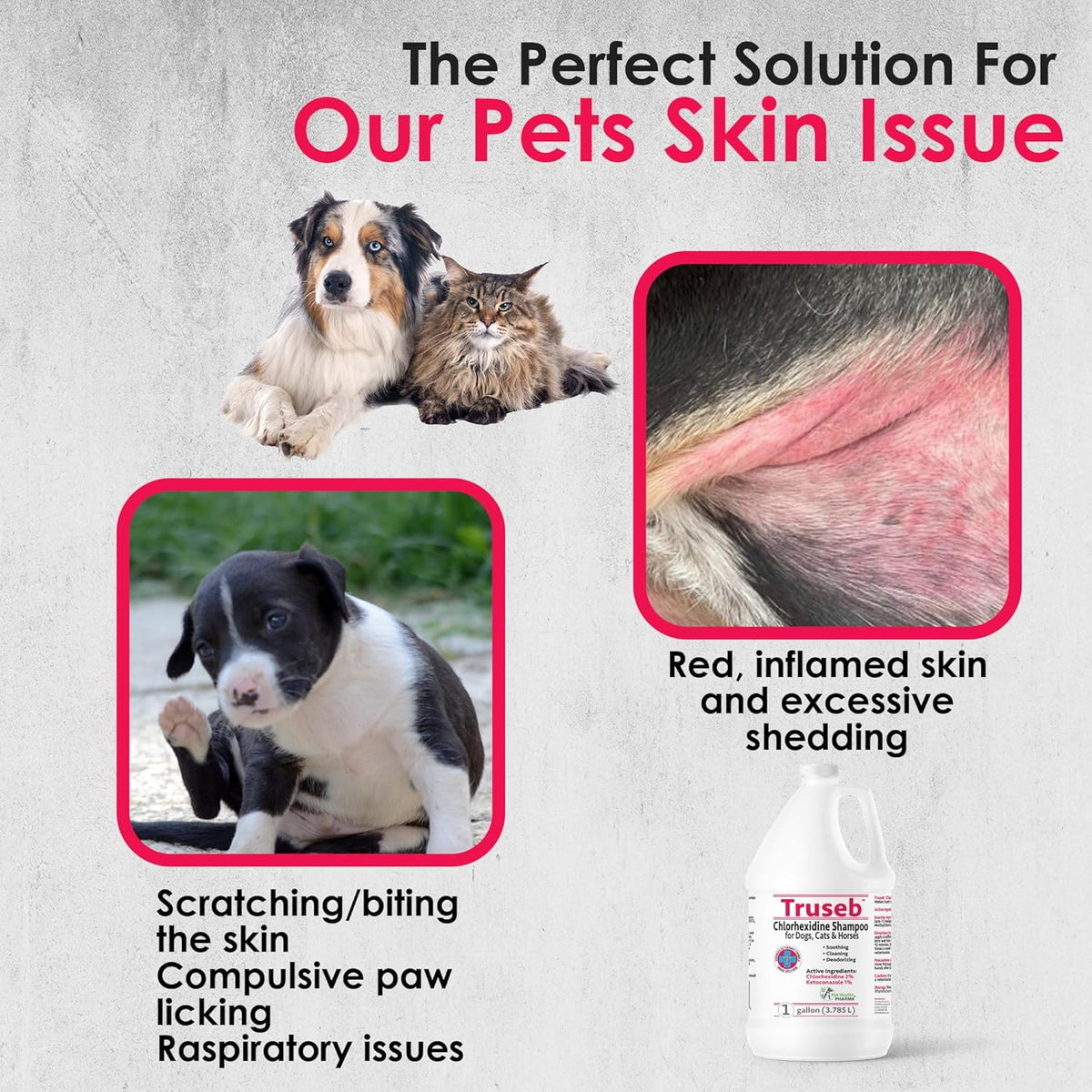 Truseb All Natural Topical Ketoconazole and Chlorhexidine Shampoo for Dogs, Cats & Horses with Aloe