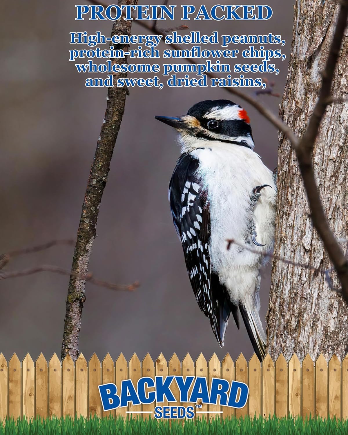 CountryMax Backyard Seeds Woodpecker No Waste Bird Seed Mix – 5 lb Bag | Shelled Peanuts, Sunflower