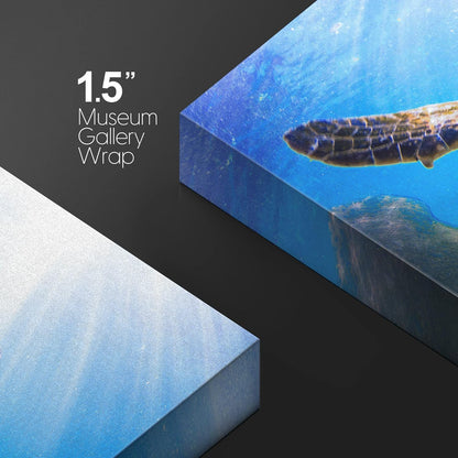 wall26 Canvas Print Wall Art Sunlight Ray Tropical Turtle Swimming Ocean Nature Animals Photography