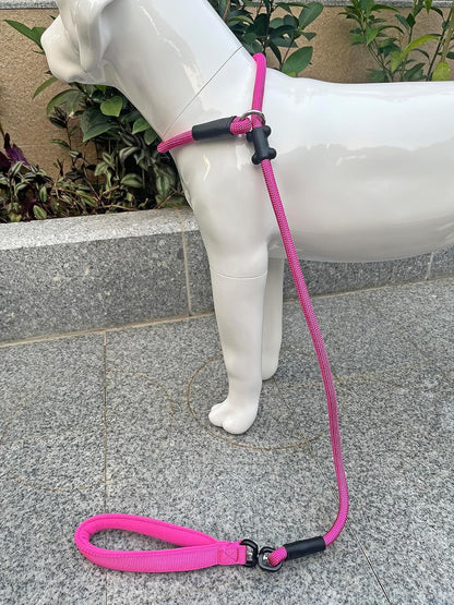 Slip Lead Dog Leash，Strong Nylon Rope Leash and Padded Handle,No Pull Outdoor Walking Training Lead