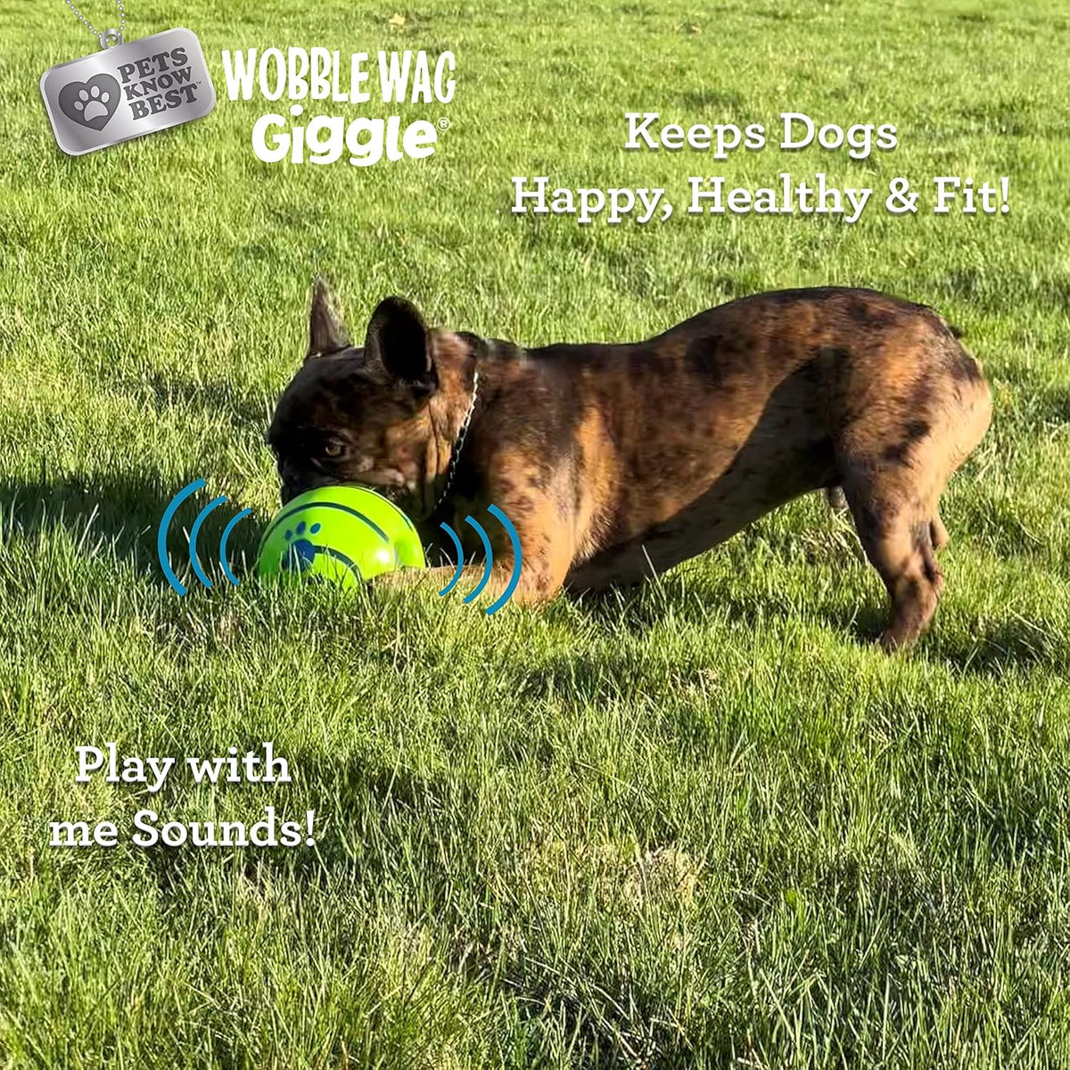 Wobble Wag Giggle Ball | Rolling Enrichment Toy for Fun Playtime, Interactive Play for Indoor or