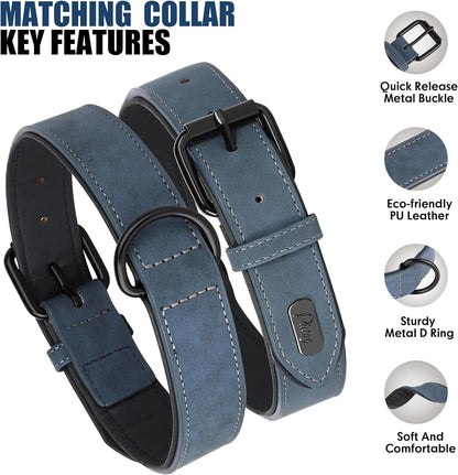 Didog Soft Padded Leather Dog Collar and Leash Set, Adjustable Dog Leash and Collar Set with Metal